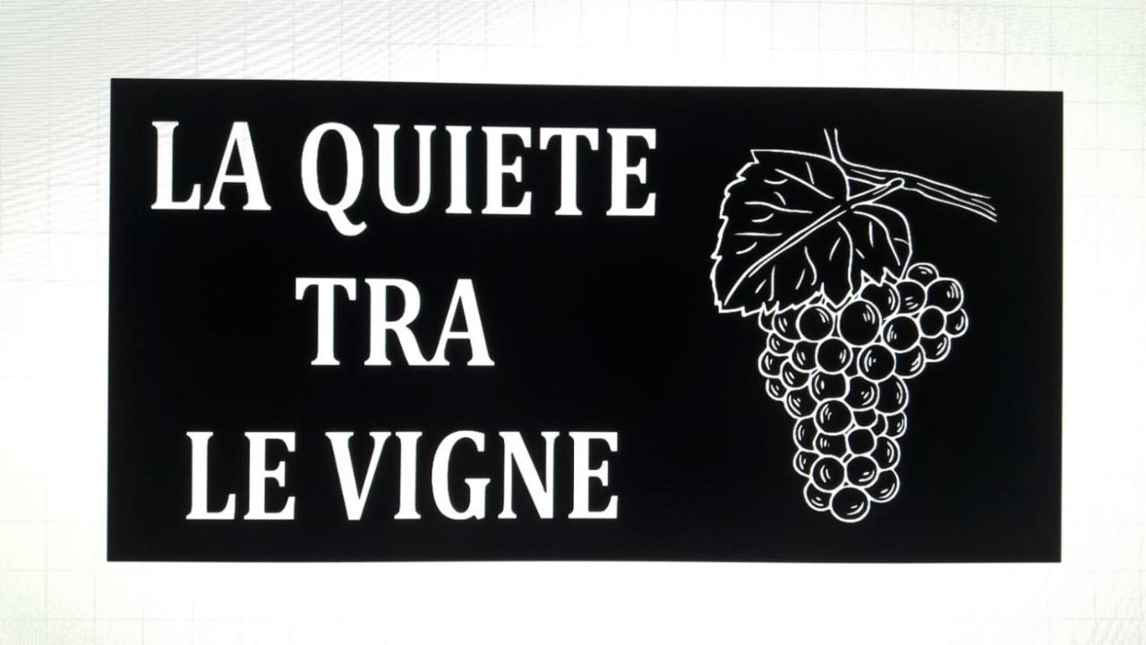 La Quiete Tra Le Vigne Tuscany Collesalvetti Bagian luar foto