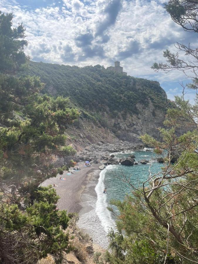 La Quiete Tra Le Vigne Tuscany Collesalvetti Bagian luar foto