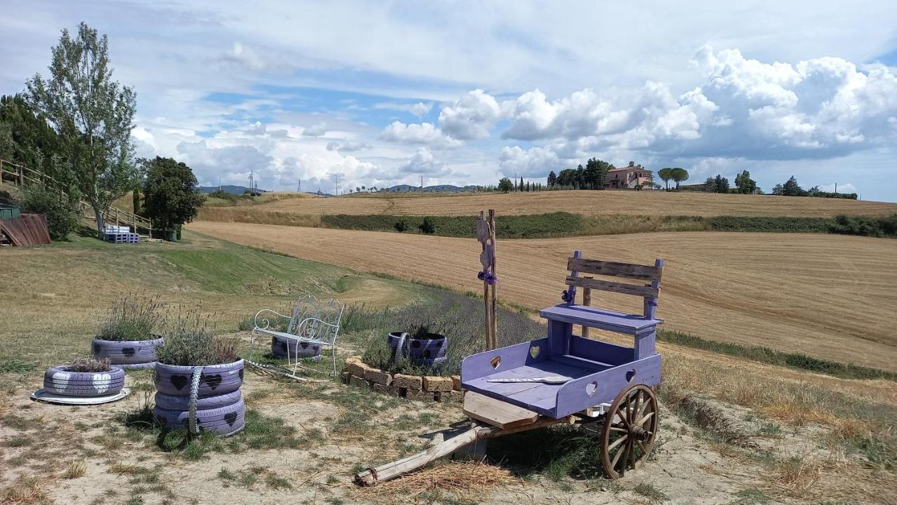 La Quiete Tra Le Vigne Tuscany Collesalvetti Bagian luar foto