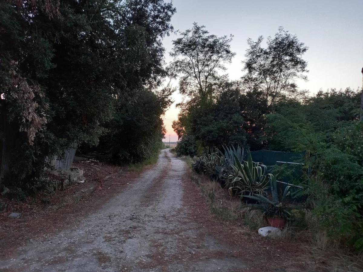 La Quiete Tra Le Vigne Tuscany Collesalvetti Bagian luar foto
