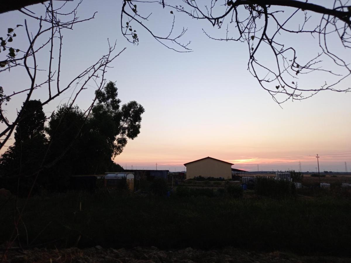 La Quiete Tra Le Vigne Tuscany Collesalvetti Bagian luar foto