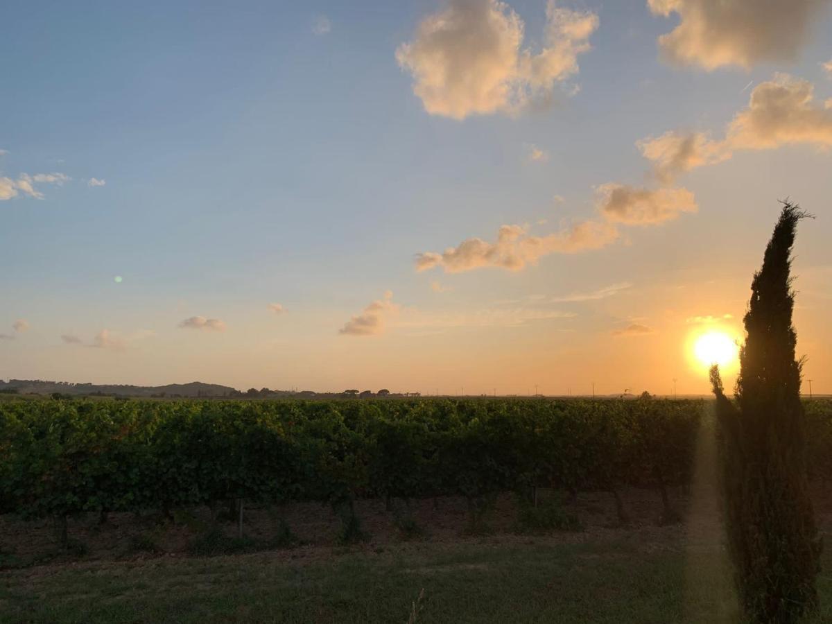 La Quiete Tra Le Vigne Tuscany Collesalvetti Bagian luar foto