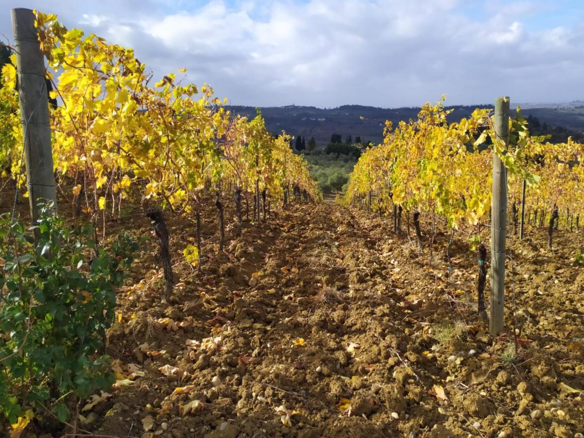 La Quiete Tra Le Vigne Tuscany Collesalvetti Bagian luar foto