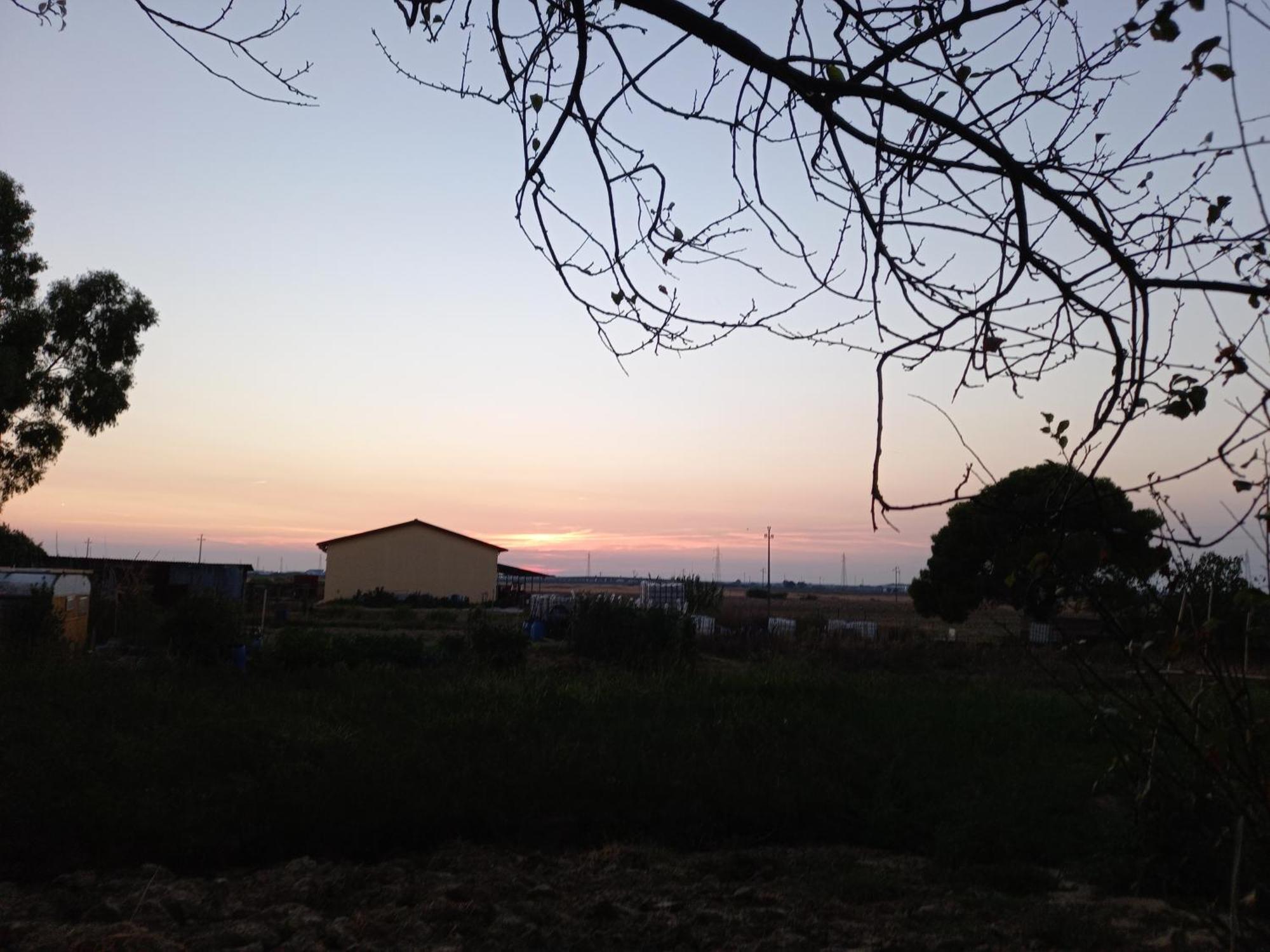 La Quiete Tra Le Vigne Tuscany Collesalvetti Bagian luar foto